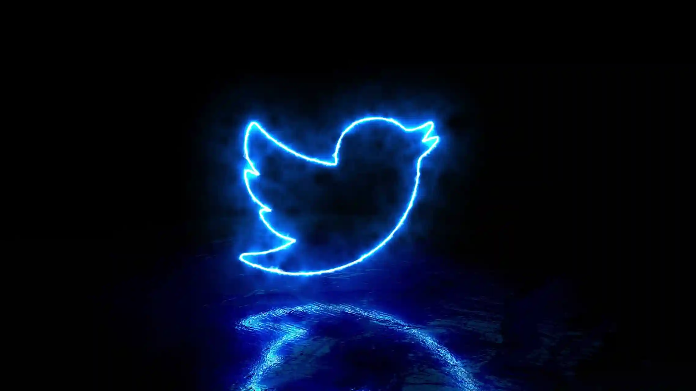 Twitter Search By User